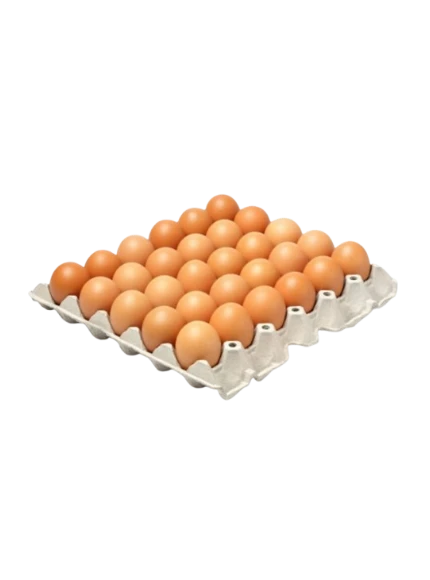 Tray of fresh eggs