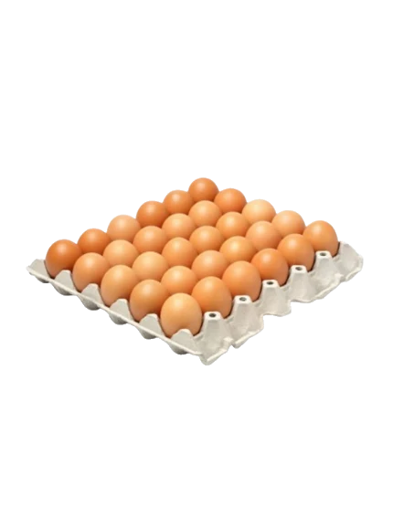 Oeuf